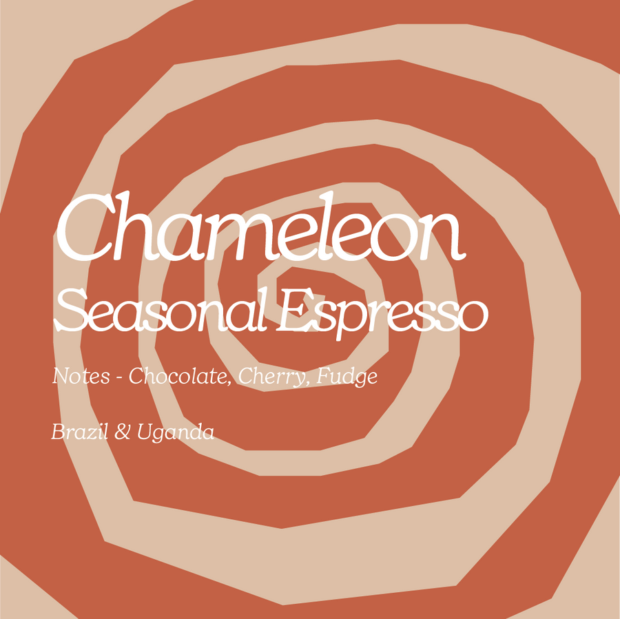 Chameleon - Seasonal Espresso